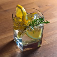 Gin with lemon, ice and juniper branch