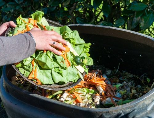 How the Food Sector can Focus on Reducing Food Waste in 2021