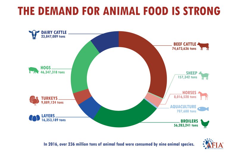 infographic of crops produced for animal feed